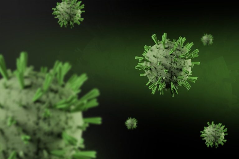 Hantavirus : symptômes, risques et ce qu’il faut savoir