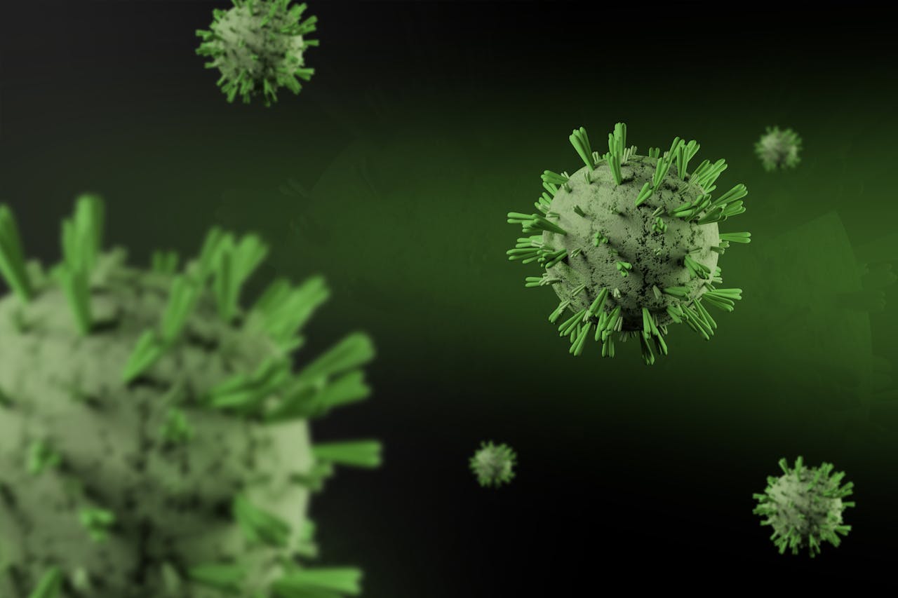 Hantavirus : symptômes, risques et ce qu’il faut savoir