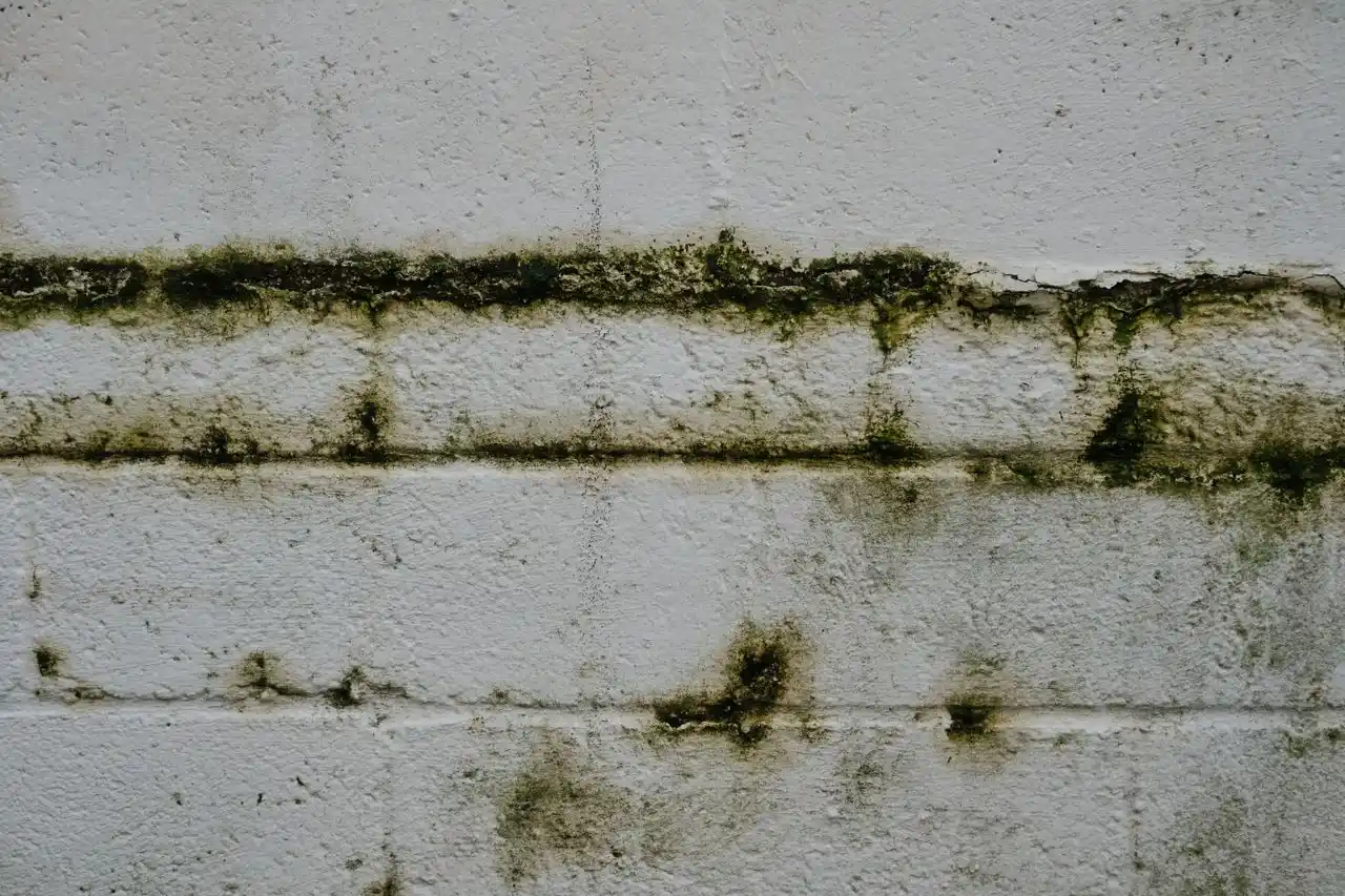 mur humide que faire