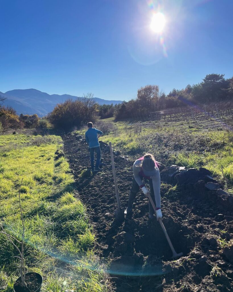 Plantation de haies ©Le Plantivore