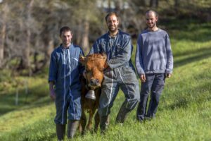Damien, Simon PHILIP et François BLANC dans leur exploitation du GAEC du Val d'Azur à Arvieux. © Patrick DOMEYNE