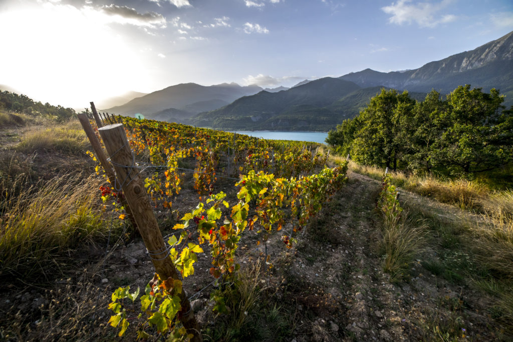 Domaine Mont Guillaume © Patrick Domeyne Addet05