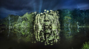 Painting-With-Lights-Amazonie-11