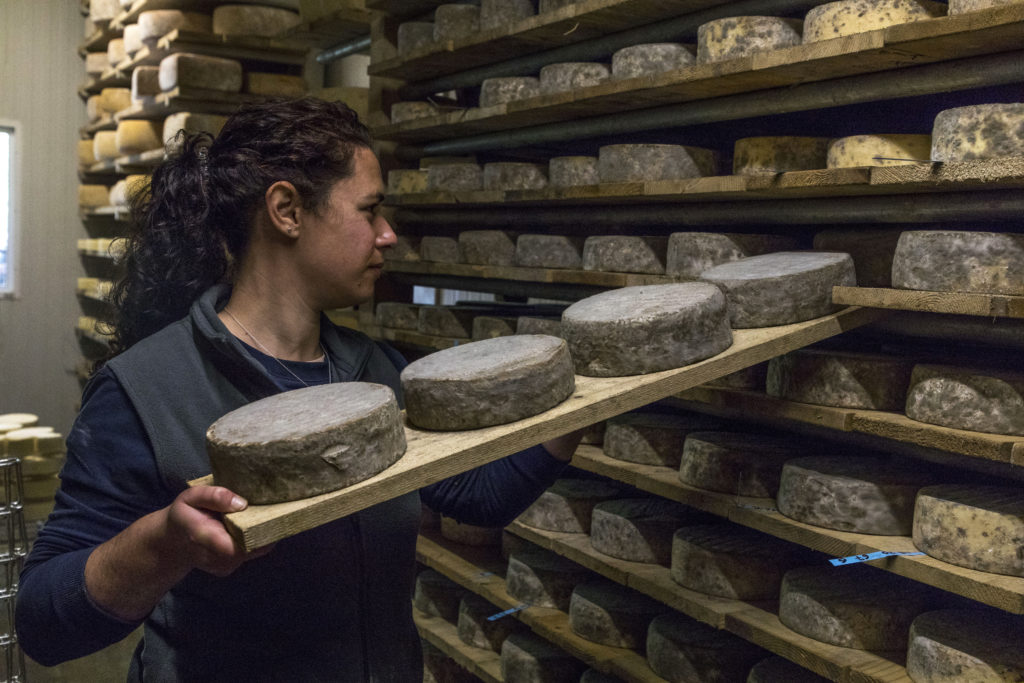 Tomme du Champsaur © Patrick Domeyne Addet05