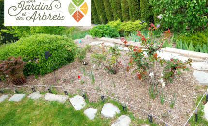 Des-jardins-et-des-arbres