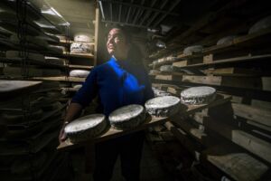Ferme Pellegrin Marion
