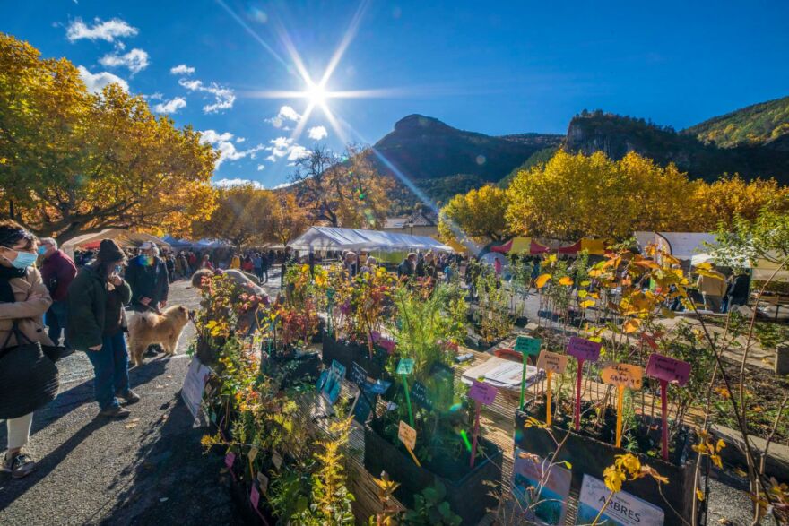 marché aux fruits anciens – orpierre ©Patrick Domeyne