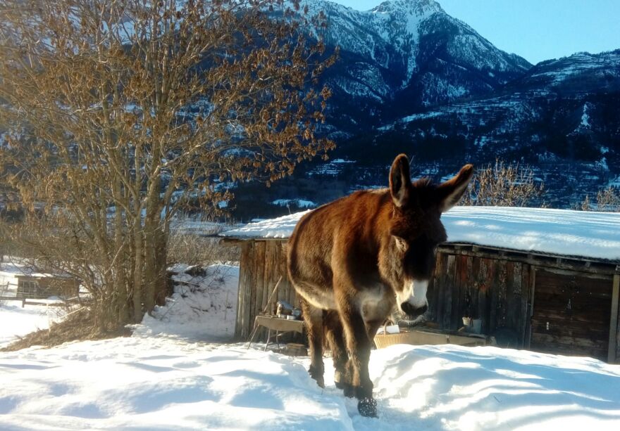 Petite Ferme des Regains ©Coralie Maretto