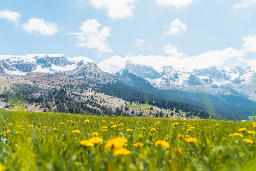 Printemps au Dévoluy ©OT Le Dévoluy