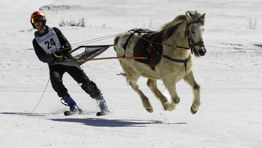 Championnat de France de ski-joëring ©Cyril