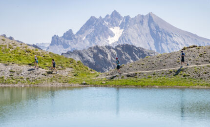 Vars Mountain Trail 2024 © Thibaut Blais (7)